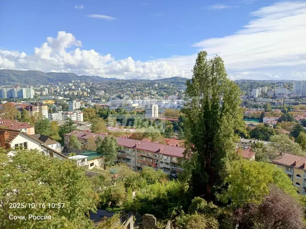 Помещение свободного назначения в Краснодарский край, Сочи Виноградная ... - Фото 1