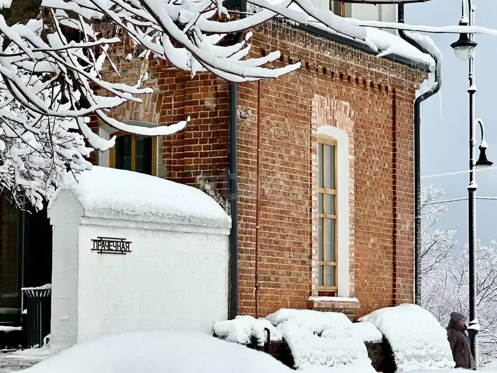 Помещение свободного назначения в Тамбовская область, Тамбов ул. ... - Фото 1