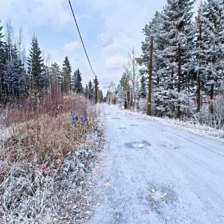 Участок в Карелия, Прионежский район, Деревянское с/пос, Малахит СНТ  ... - Фото 2