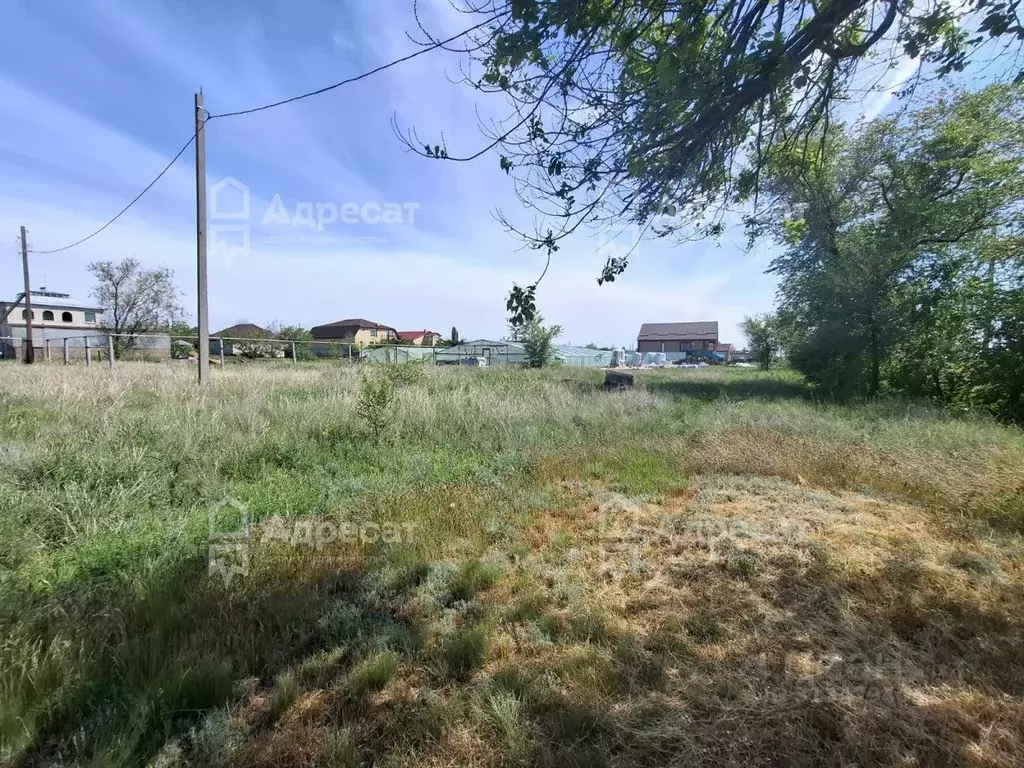 Участок в Волгоградская область, Быково рп ул. Дачная (12.0 сот.) - Фото 0
