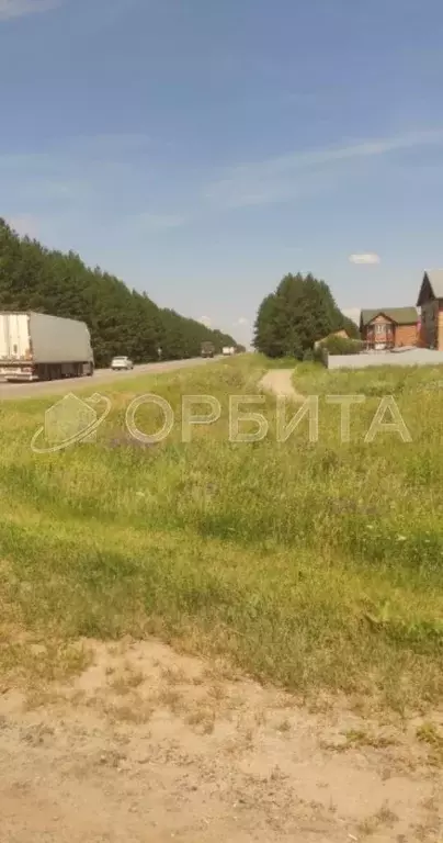 Участок в Тюменская область, Тюменский муниципальный округ, Горошинка ... - Фото 2