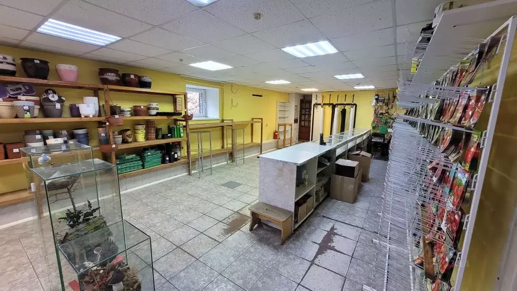 Помещение свободного назначения в Челябинская область, Копейск просп. ... - Фото 1