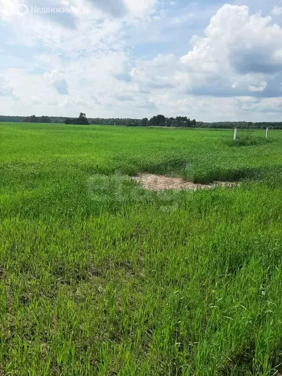 Участок в Московская область, городской округ Шатура, деревня ... - Фото 1