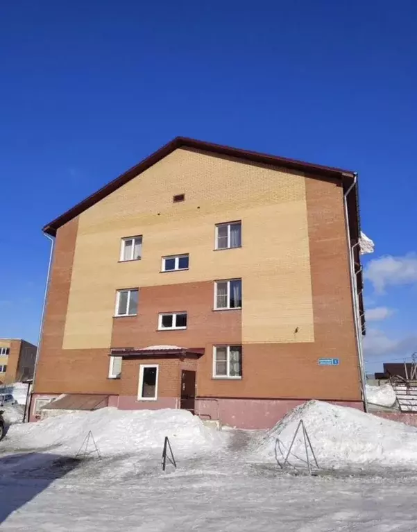 Склад в Новосибирская область, с. Новолуговое, Солнечный мкр 1 (27 м) - Фото 1