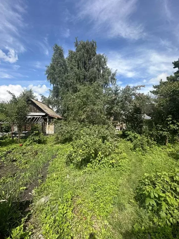 дом в свердловская область, белоярский городской округ, д. черемхова . - Фото 0