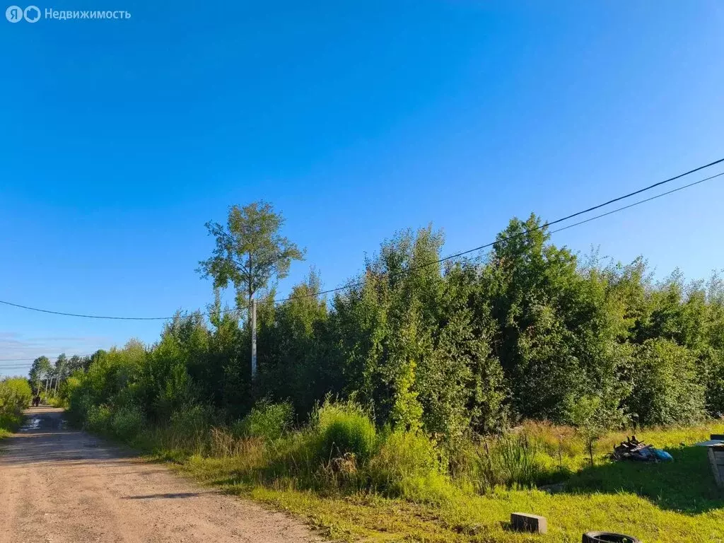 Участок в деревня Новая Мельница, улица Кутузова (8.4 м) - Фото 2