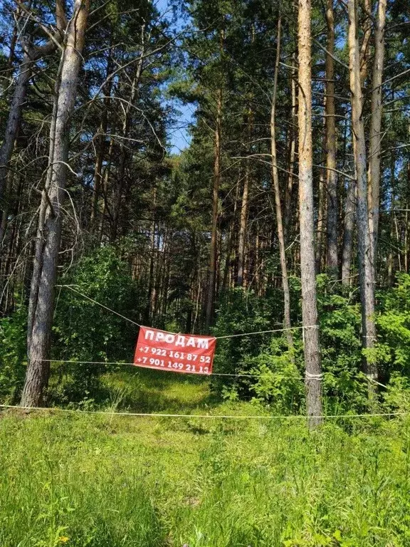 Участок в Свердловская область, Сысертский муниципальный округ, д. ... - Фото 1