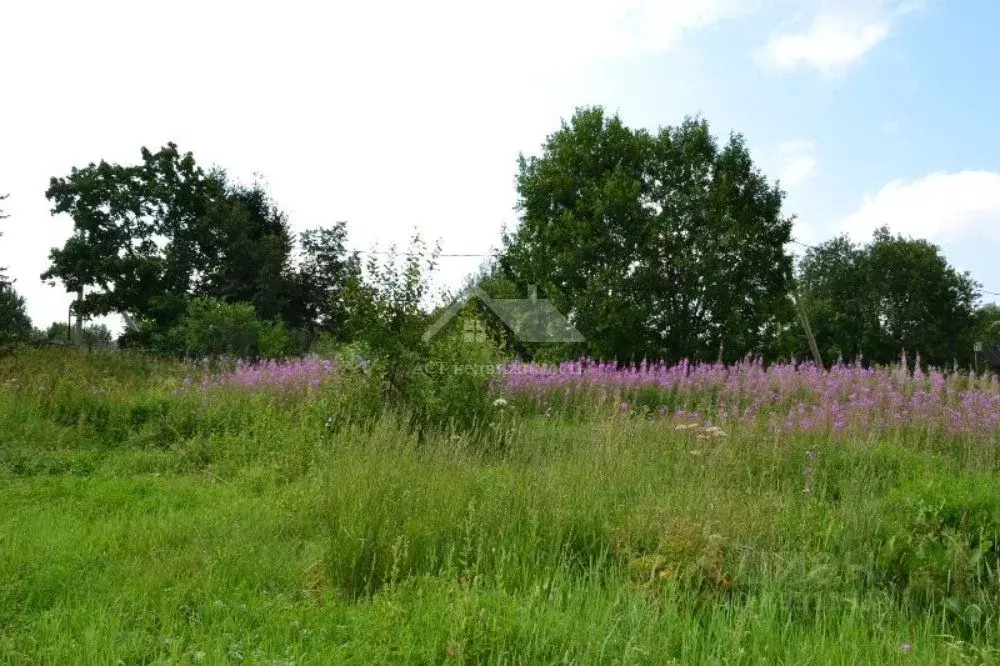 Купить Участок Богородское Сергиево Посадский Район