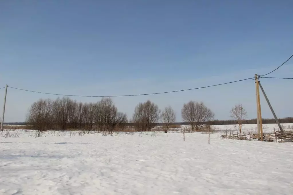 Участок в Московская область, Шаховская муниципальный округ, д. ... - Фото 1