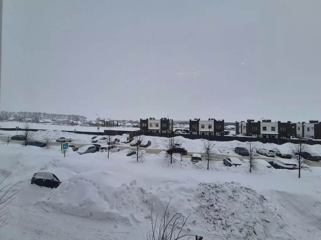 1-к кв. Татарстан, Пестречинский район, Шигалеевское с/пос, с. Новое ... - Фото 2