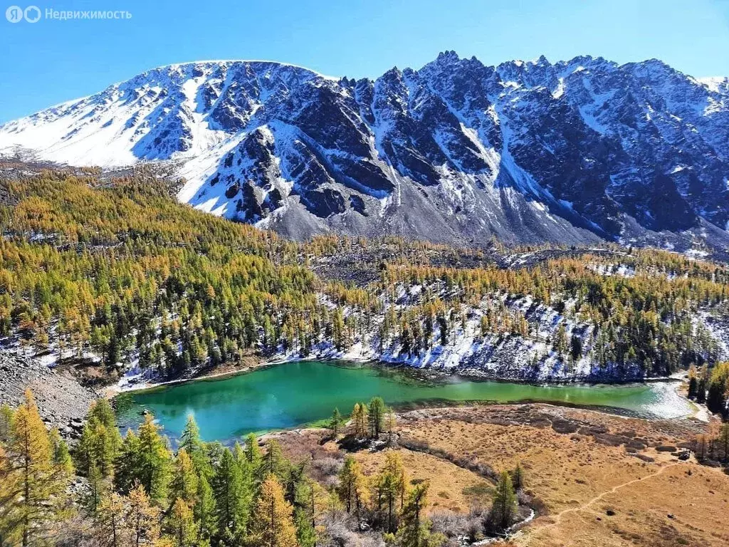 Участок в село Чибит, Молодёжная улица, 29А (100 м) - Фото 0