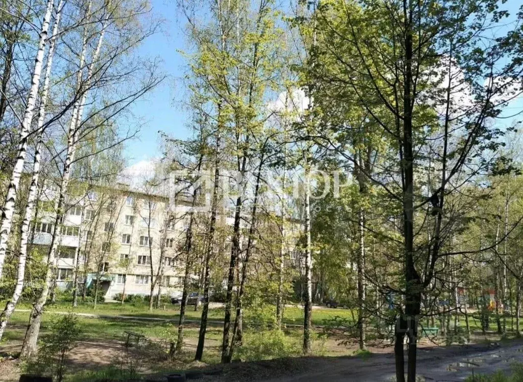 3-к кв. Ивановская область, Иваново ул. Шубиных, 22А (50.0 м) - Фото 1