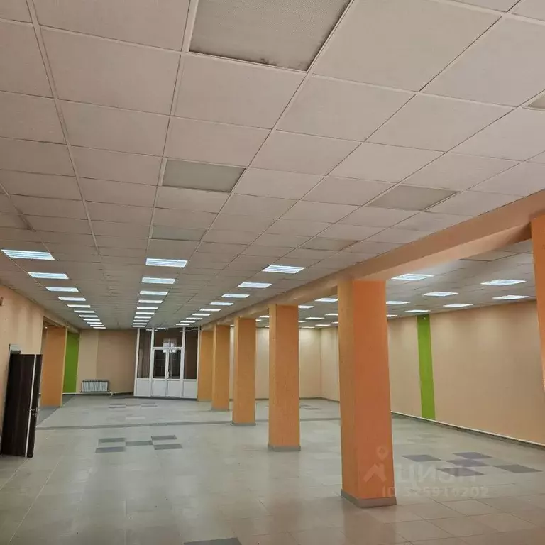 Торговая площадь в Брянская область, Брянск ул. Снежетьский вал, 306А ... - Фото 2