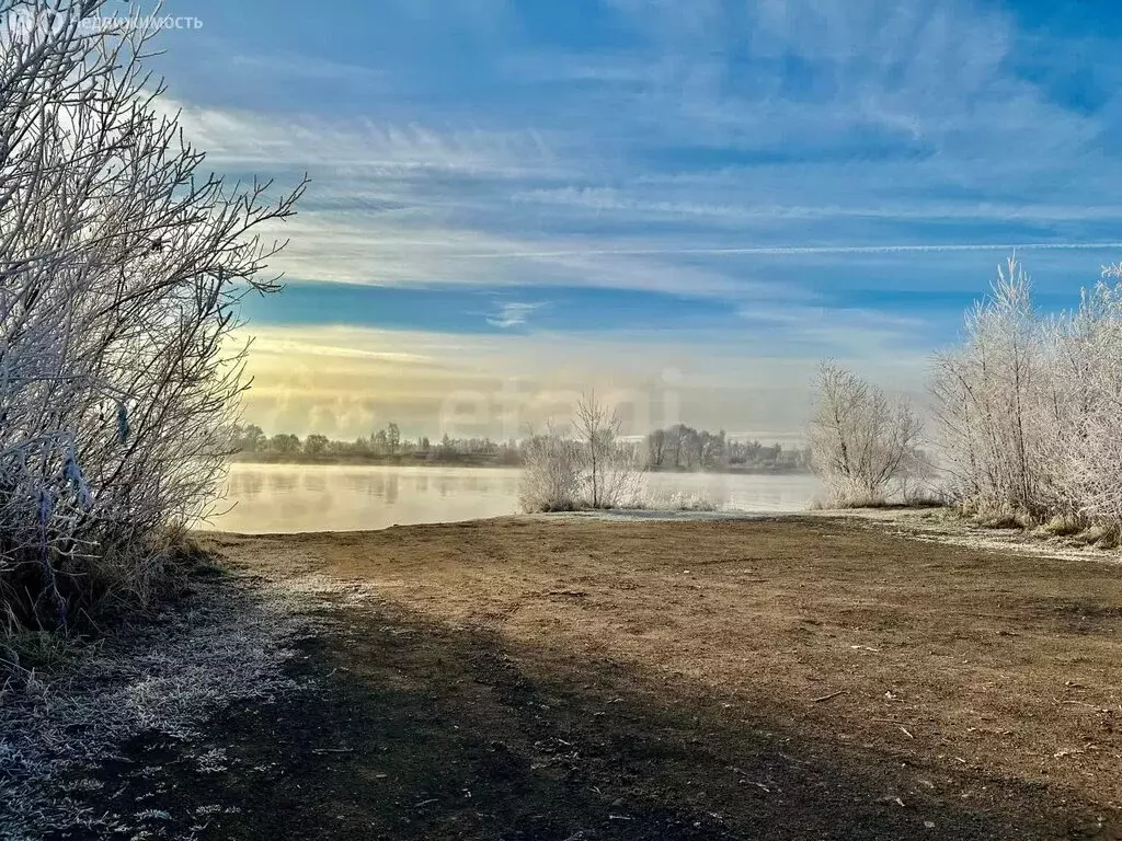 Участок в Ярославская область, Некрасовский муниципальный округ, село ... - Фото 2