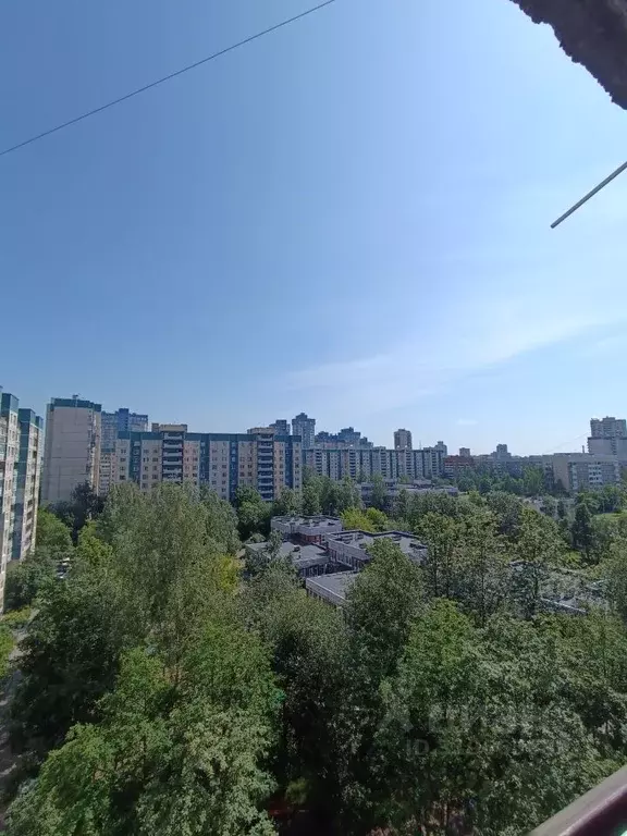 2-к кв. Санкт-Петербург Парашютная ул., 22К1 (50.0 м) - Фото 0