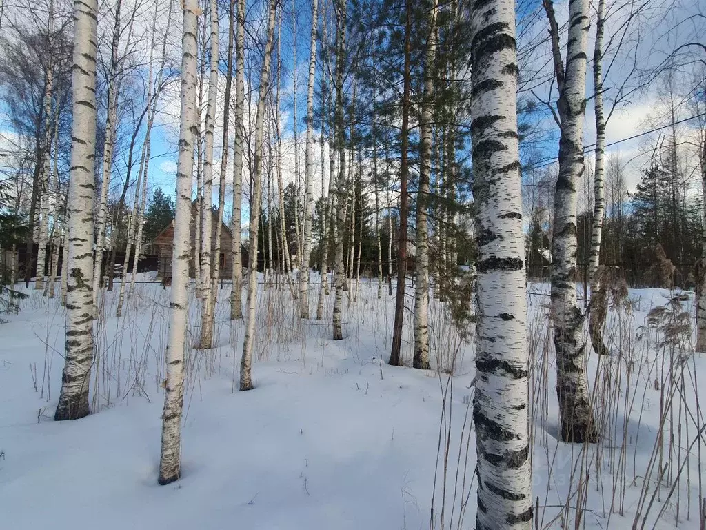 Дом в Ленинградская область, Гатчинский район, Сиверское городское ... - Фото 1