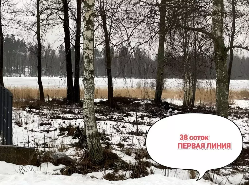 Участок в Ленинградская область, Приозерский район, Ларионовское ... - Фото 1