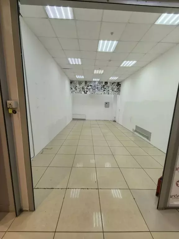 Торговая площадь в Ленинградская область, Гатчина просп. 25 Октября, ... - Фото 2