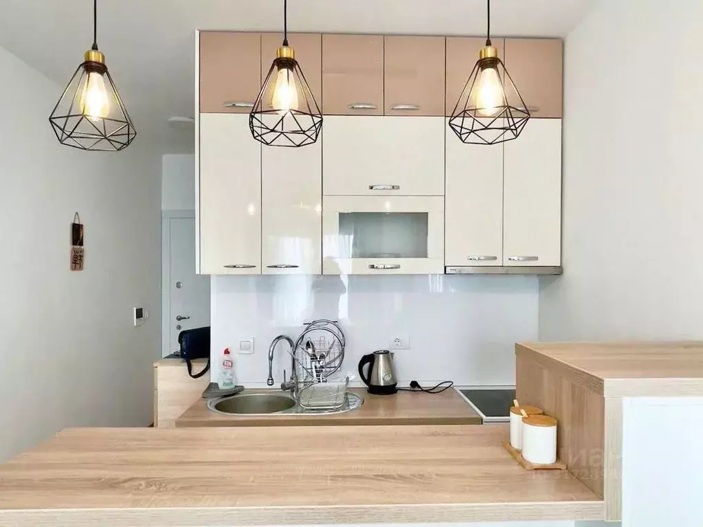 Студия Краснодарский край, Сочи ул. Ленина, 298Бс12 (26.0 м) - Фото 1