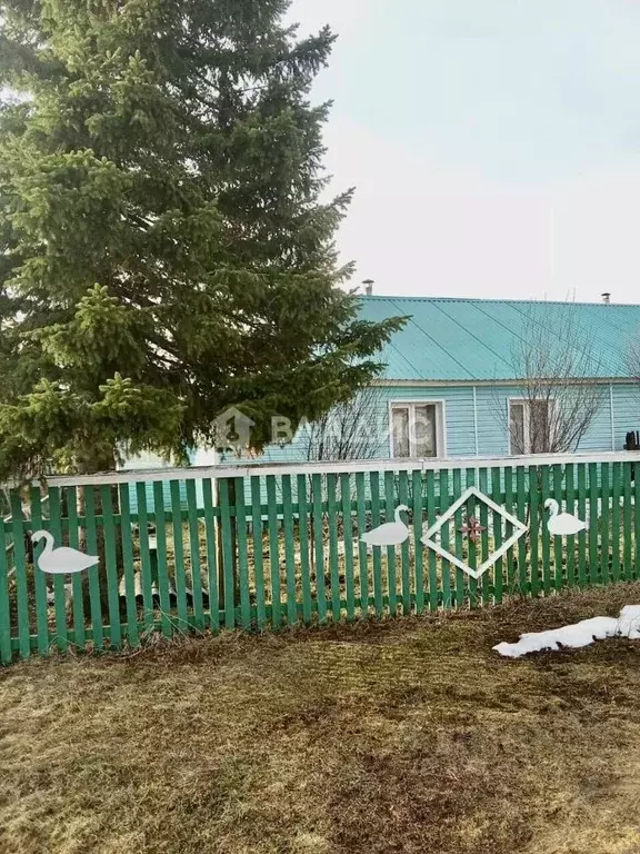 Дом в Алтайский край, Солтонский район, с. Нижняя Ненинка ул. Жданова, ... - Фото 2