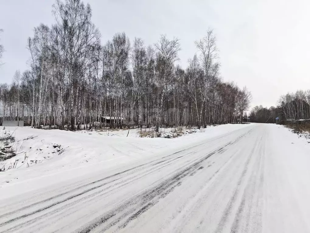 Участок в Тюменская область, Нижнетавдинский муниципальный округ, ... - Фото 1