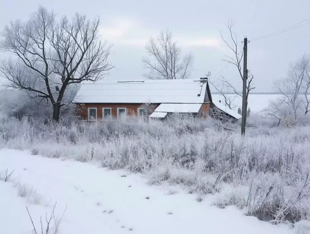 Участок в Тульская область, Тепло-Огаревский район, Нарышкинское ... - Фото 1