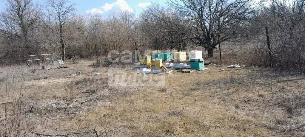 Участок в Ростовская область, Азовский район, Новоалександровское ... - Фото 0