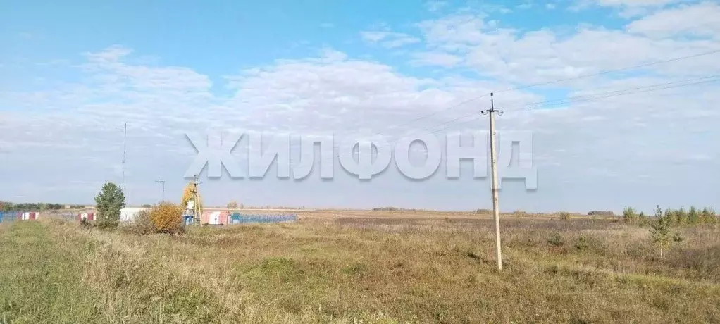 Участок в Новосибирская область, Колывань рп ул. Трактовая (10.0 сот.) - Фото 0