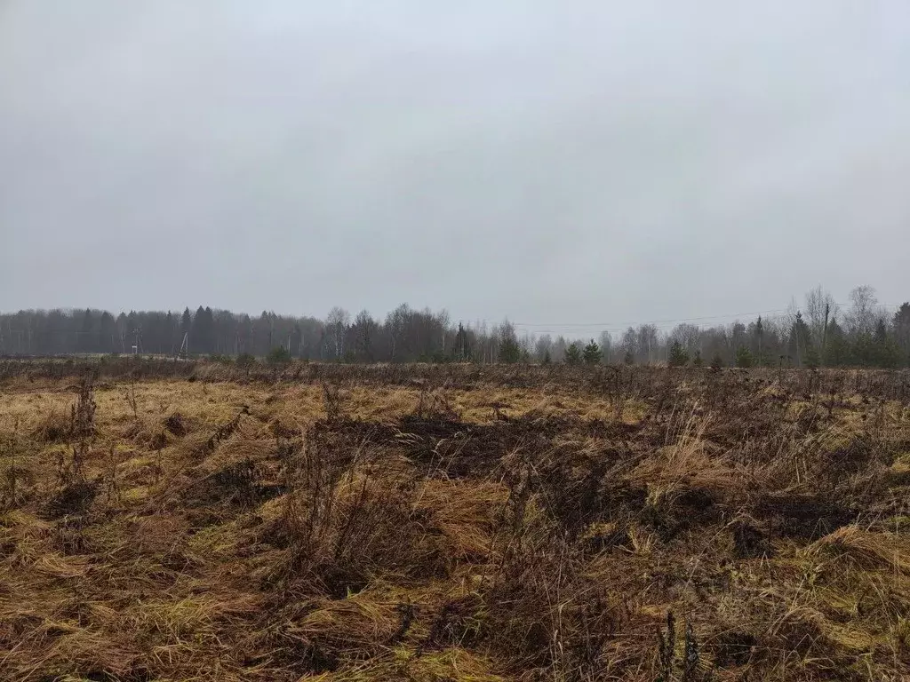Участок в Московская область, Щелково городской округ, с. Рязанцы  ... - Фото 1