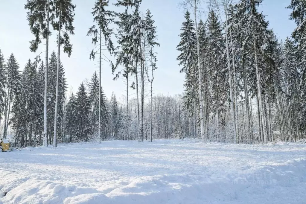 Участок в Московская область, Дмитровский муниципальный округ, ... - Фото 1