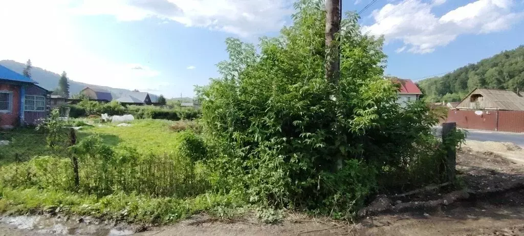 Участок в Майминский район, село Кызыл-Озек, Советская улица (7.8 м) - Фото 1