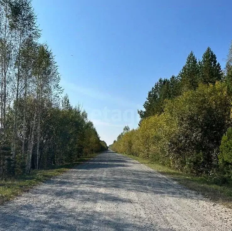 Участок в Тюменская область, Нижнетавдинский район, д. Московка  (6.3 ... - Фото 1