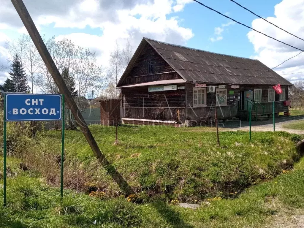 Участок в Ленинградская область, Гатчинский район, Строганово ... - Фото 0