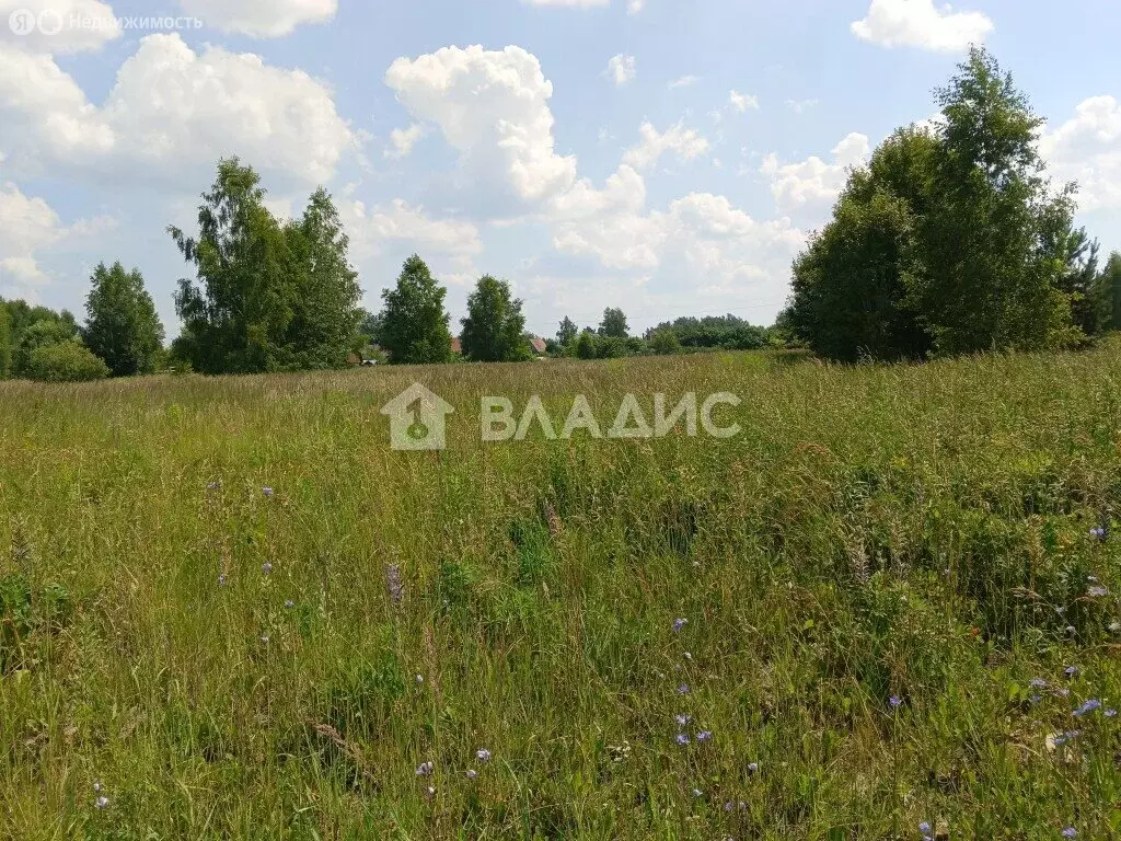 Участок в муниципальное образование Второвское, село Палашкино (27.6 ... - Фото 0