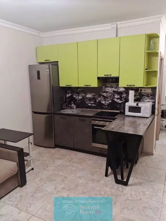 Студия Москва пос. Коммунарка, ул. Бачуринская, 7к2 (26.0 м) - Фото 2