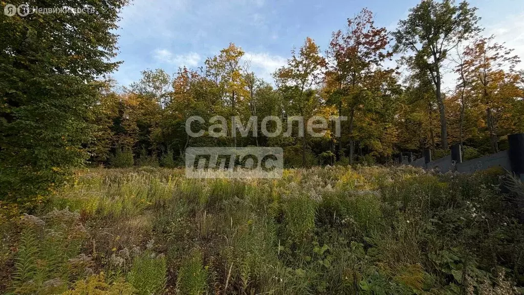 Участок в Пенза, улица Маресьева, 161 (15 м) - Фото 1