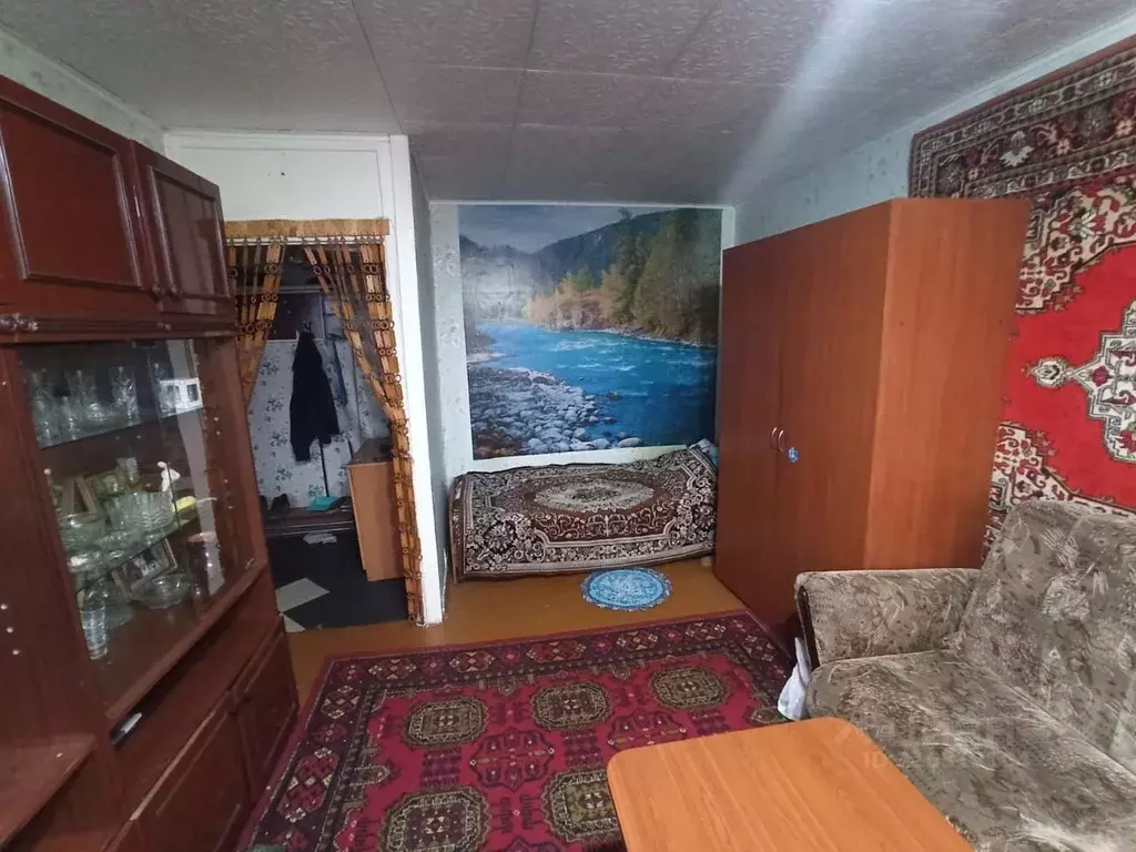 1-к кв. Новосибирская область, Новосибирск Пашино мкр, ул. ... - Фото 1