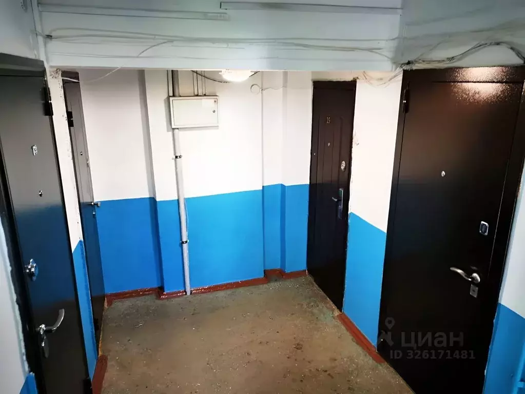 1-к кв. Кемеровская область, Калтан просп. Мира, 45А (31.0 м) - Фото 2