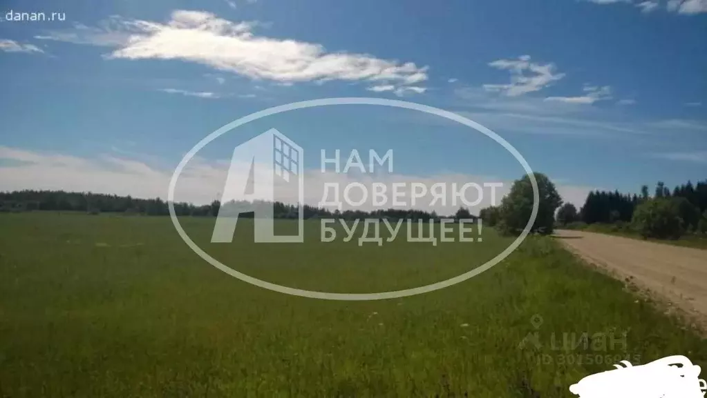 Участок в Пермский край, Чусовской городской округ, Калино рп ул. ... - Фото 1