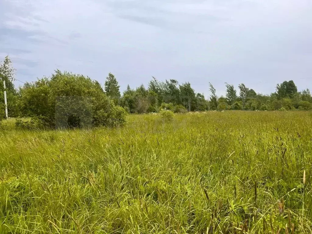 Участок в Новгородская область, Боровичи Западный мкр, 4 (12.0 сот.) - Фото 1