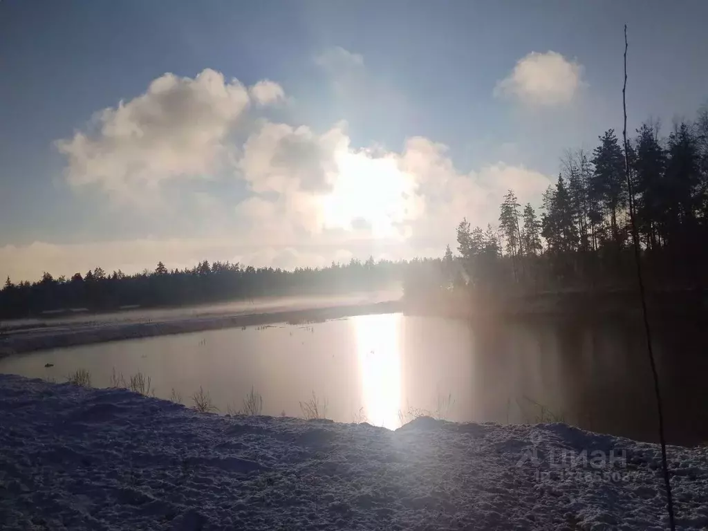 Участок в Московская область, Богородский городской округ, Восточная ... - Фото 1