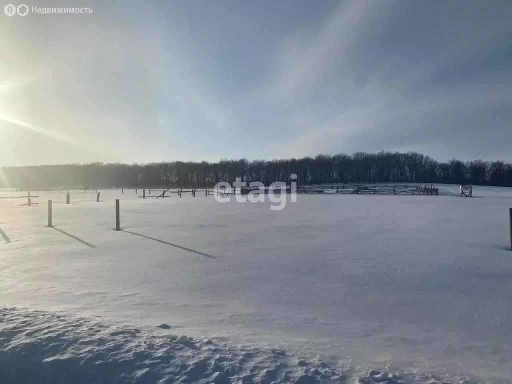 Участок в Гафурийский район, Красноусольский сельсовет, село ... - Фото 1