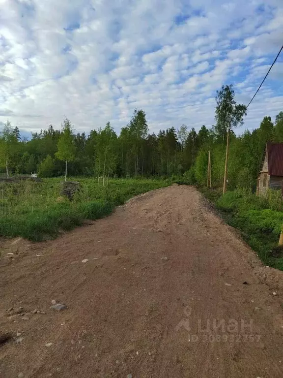 Участок в Ленинградская область, Приозерский район, Ларионовское ... - Фото 1