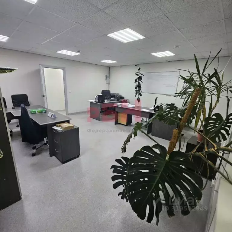 Офис в Курганская область, Курган ул. Красина, 49 (160 м) - Фото 1