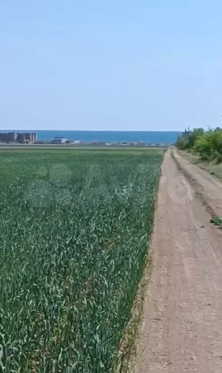 Участок 100 сот. (СНТ, ДНП) - Фото 0