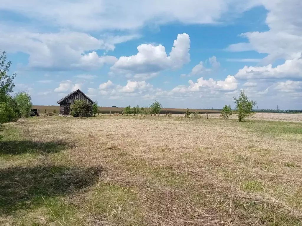 Участок в Владимирская область, Суздальский район, Павловское ... - Фото 0