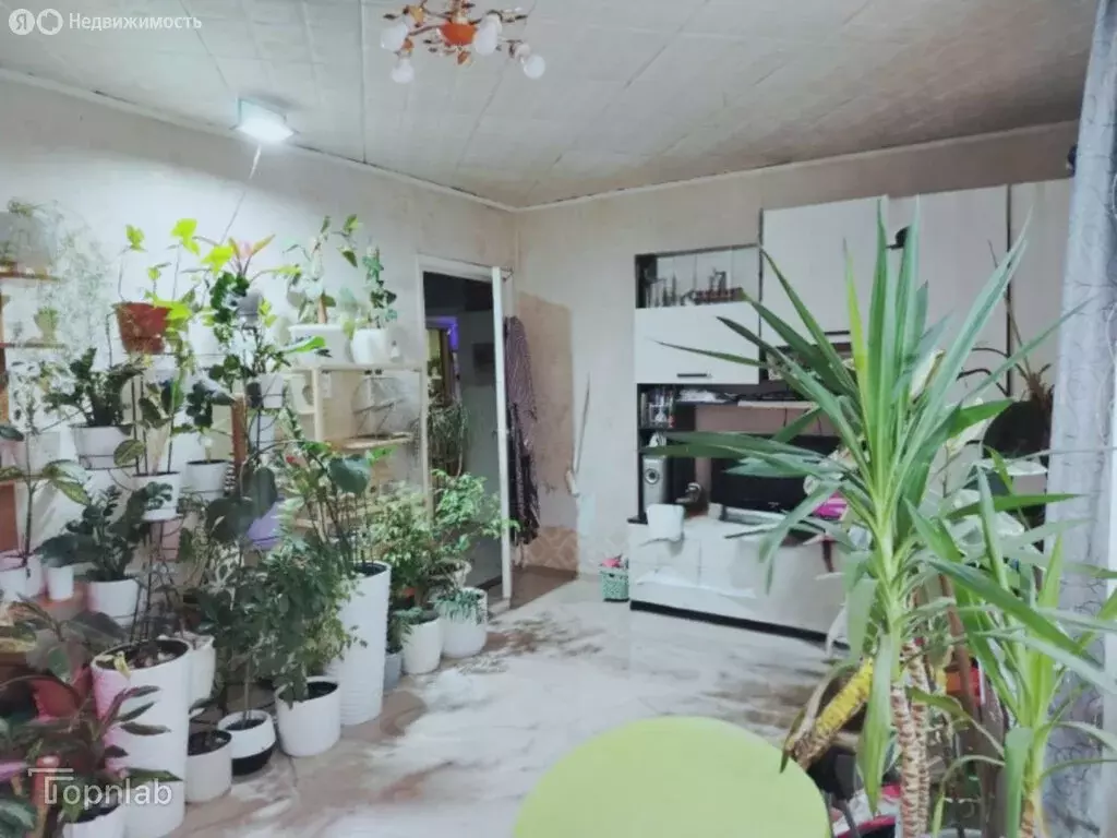 Дом в село Берёзовка, Центральная улица, 31 (84.4 м) - Фото 1