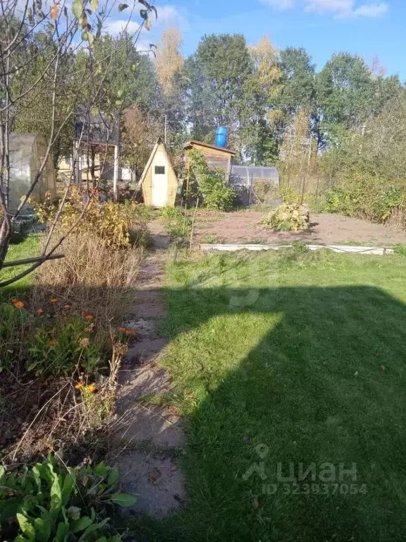 Участок в Тульская область, Ясногорский район, Ревякинское с/пос, № 25 ... - Фото 2