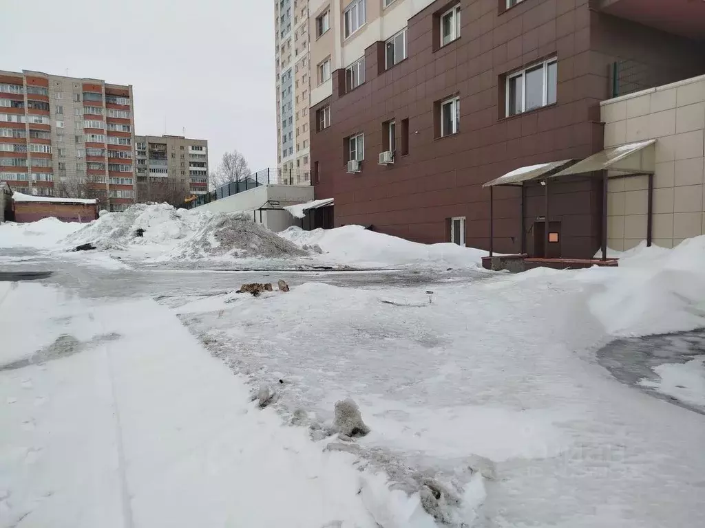 Помещение свободного назначения в Новосибирская область, Новосибирск ... - Фото 1