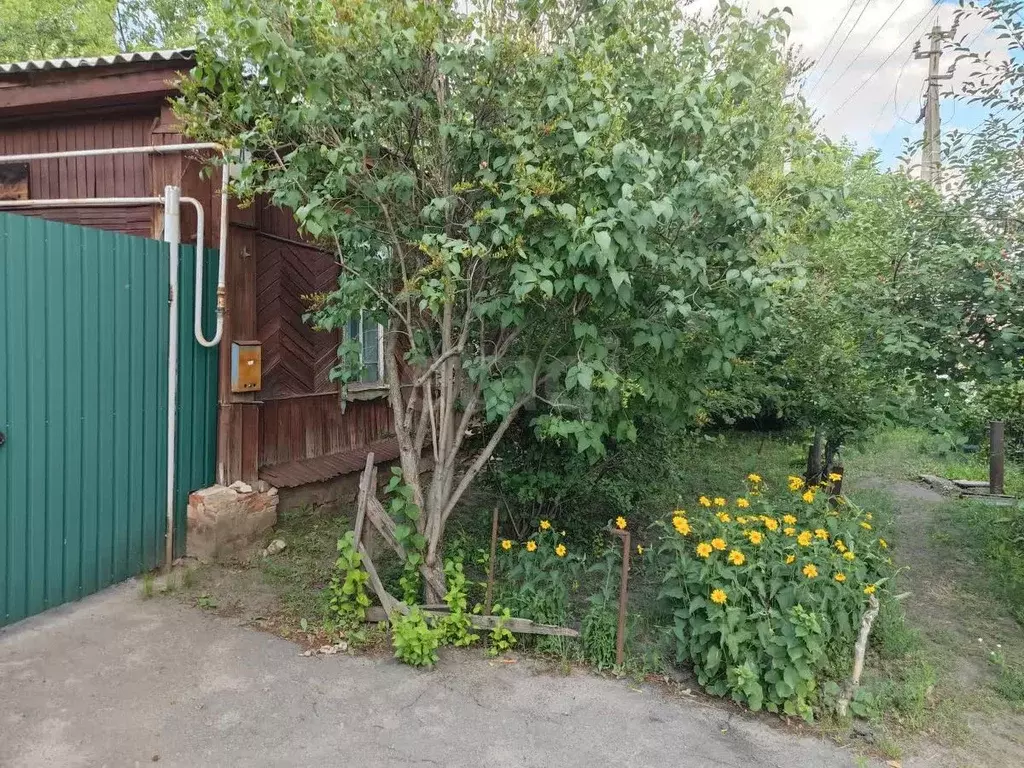 Дом в Воронежская область, Поворино Ленинская ул., 4 (37 м) - Фото 1